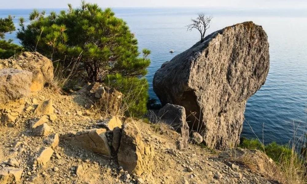 Βίντεο που προκαλεί...ίλιγγο-Οδηγός κάνει αναστροφή σε γκρεμό